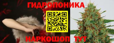 шишки Ливны