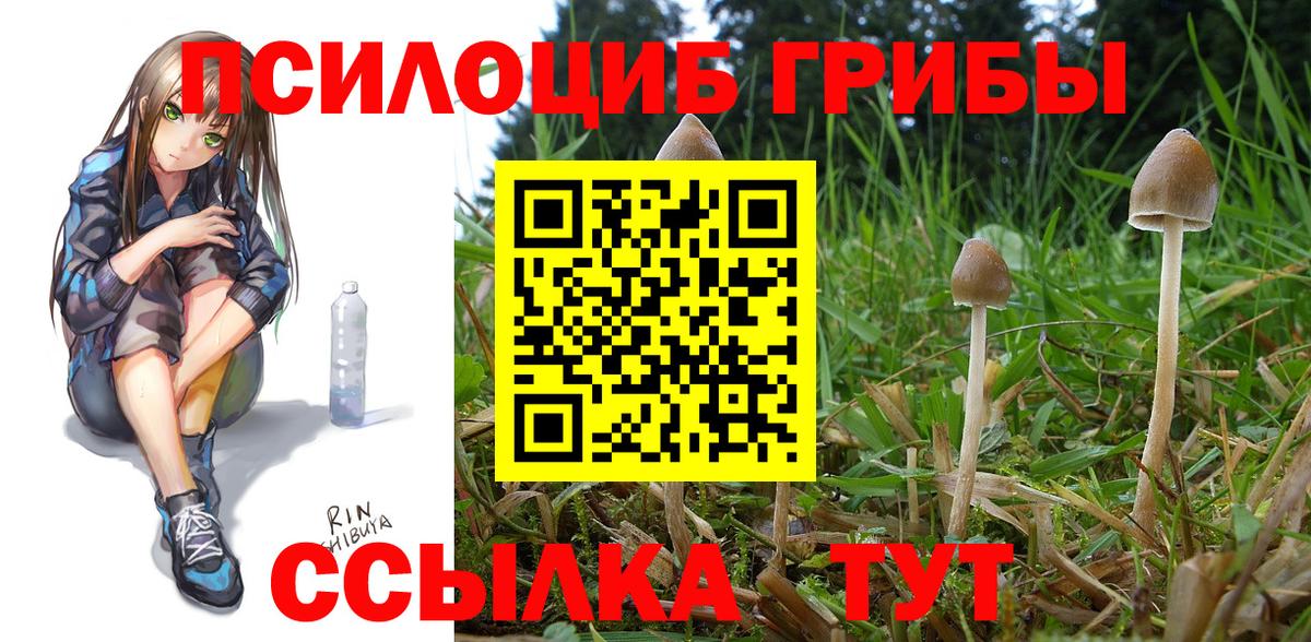 Псилоцибиновые грибы GOLDEN TEACHER Реж