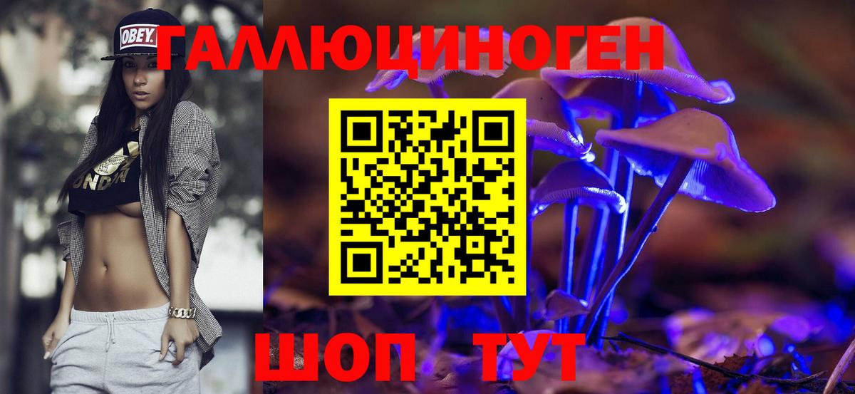 Псилоцибиновые грибы Psilocybine cubensis  Вход с VPN  Реж  Галлюциногенные грибы Psilocybe 